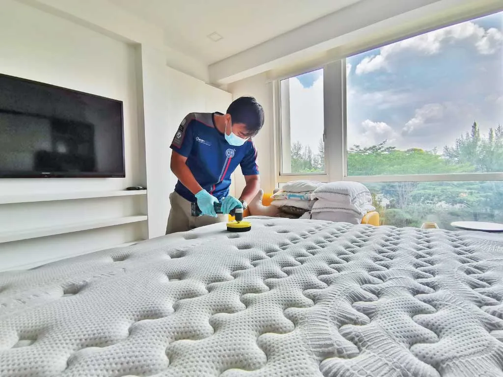 Mattress Cleaning Services