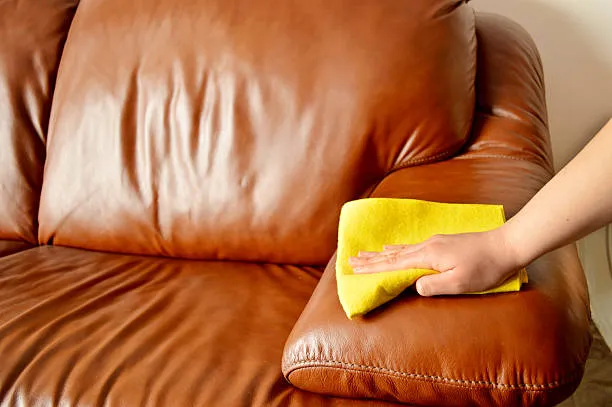 Upholstery Cleaning Service